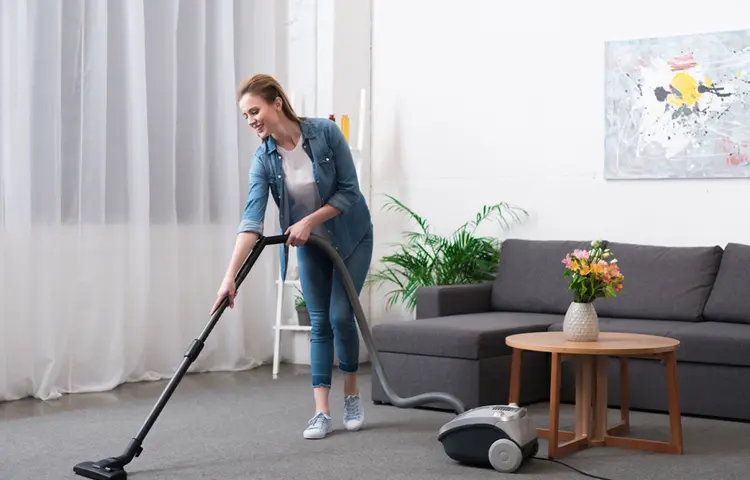 چرا بهترین جاروبرقی سایلنت ال جی انتخاب اول خانه های آپارتمانی است؟